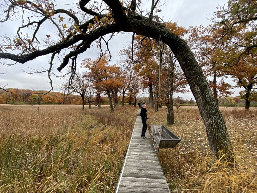 TCLF in Minneapolis for ASLA TCLF